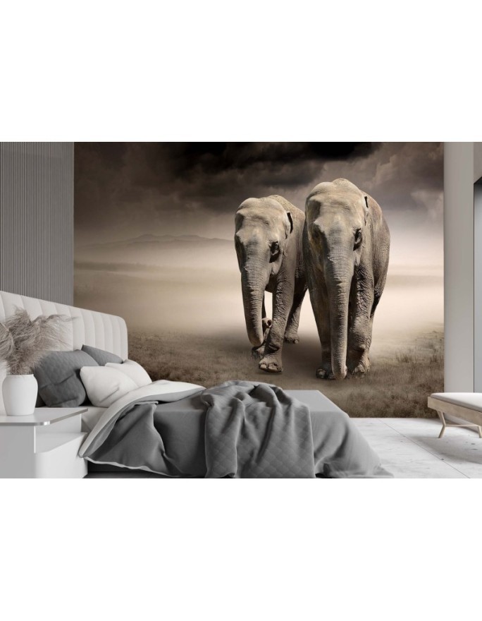 Modern wall murals for living room - Elephant couple africa nature | FEEBY