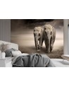 Modern wall murals for living room - Elephant couple africa nature | FEEBY