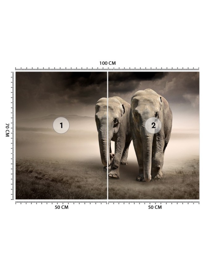 Modern wall murals for living room - Elephant couple africa nature | FEEBY