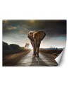 Unique wall murals for living room - Wandering elephant nature | FEEBY