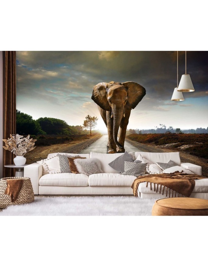 Unique wall murals for living room - Wandering elephant nature | FEEBY