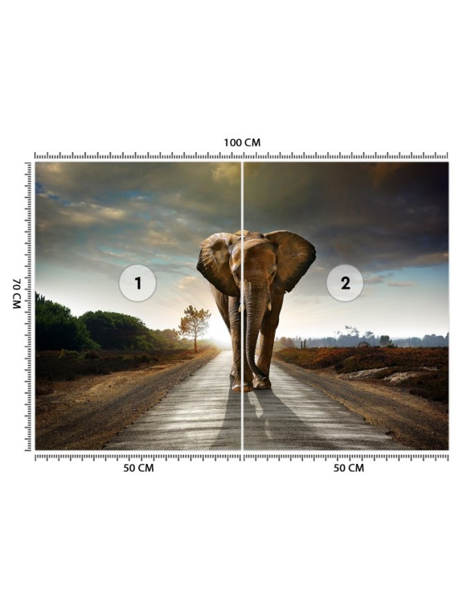 Unique wall murals for living room - Wandering elephant nature | FEEBY