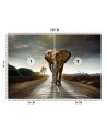 Unique wall murals for living room - Wandering elephant nature | FEEBY