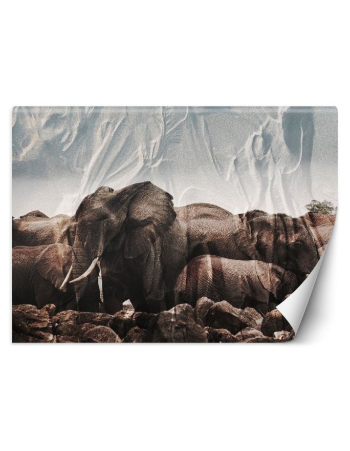Modern wall mural - Elephants in a herd | FEEBY
