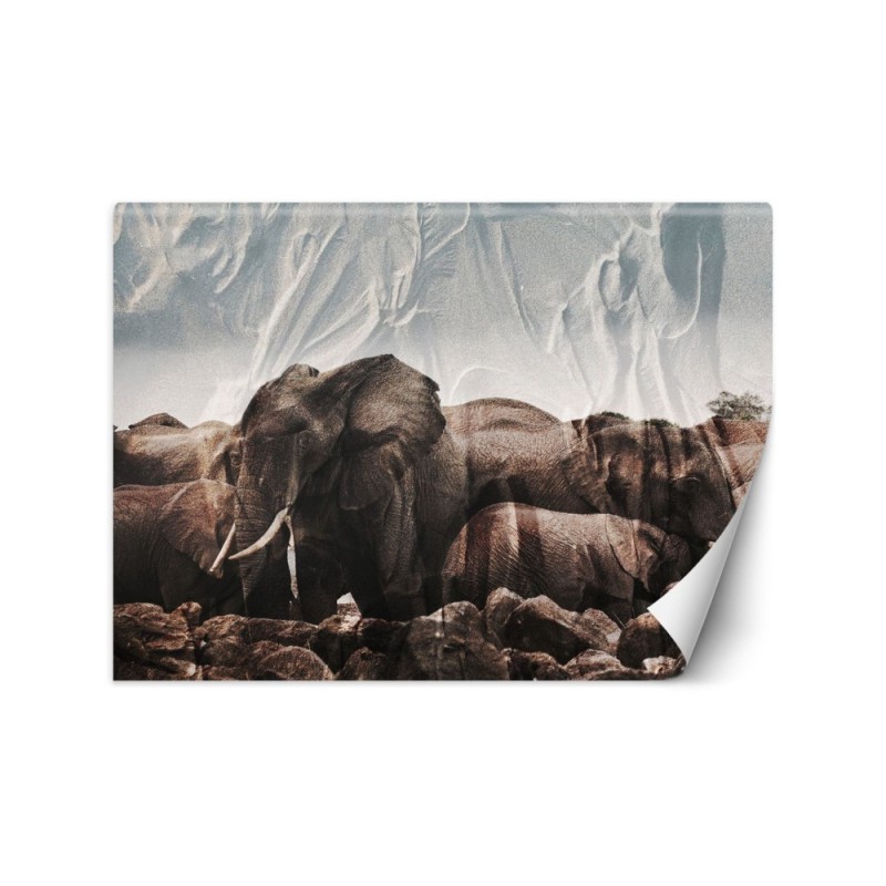 Modern wall mural - Elephants in a herd | FEEBY