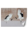 The most fashionable wall murals - Herons Birds Beige | FEEBY