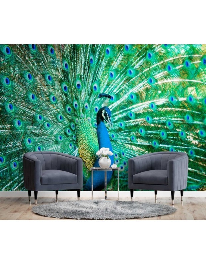 Beautiful wall murals - Coloured peacock | FEEBY