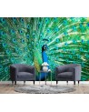 Beautiful wall murals - Coloured peacock | FEEBY