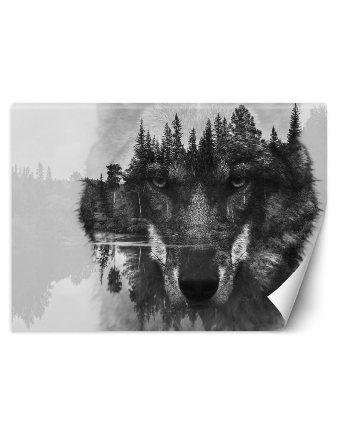 The most fashionable wall murals - Wolf forest in the fog | FEEBY