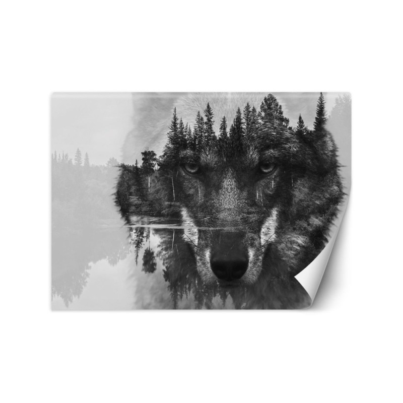 The most fashionable wall murals - Wolf forest in the fog | FEEBY