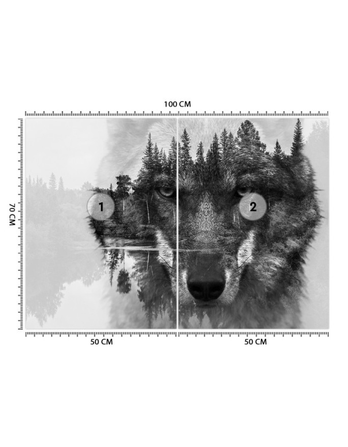 The most fashionable wall murals - Wolf forest in the fog | FEEBY