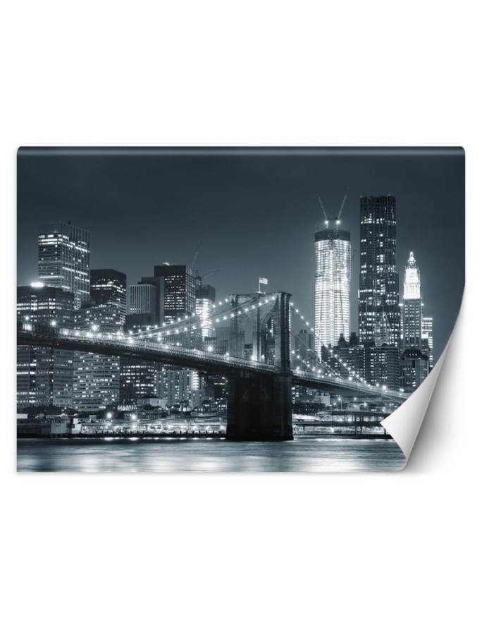 Wall mural - New York Brooklyn Bridge in black | FEEBY