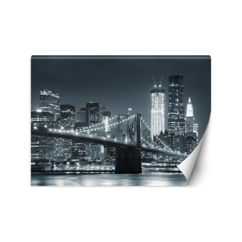 Wall mural - New York Brooklyn Bridge in black | FEEBY