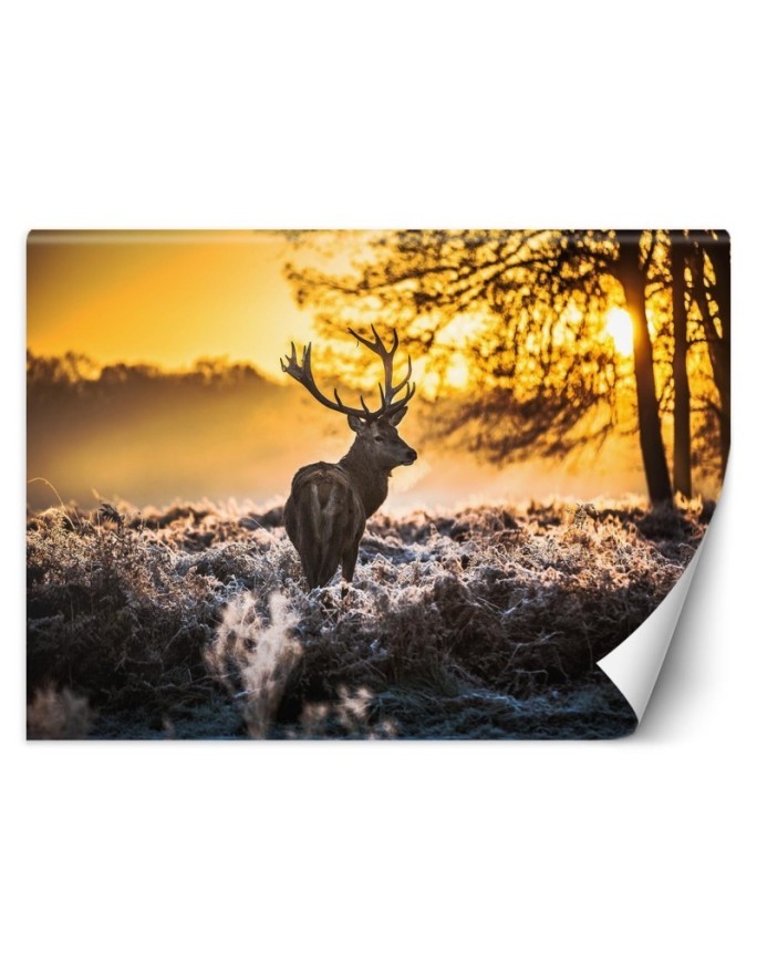 Decorative Wallpaper - Deer in the mist | FEEBY