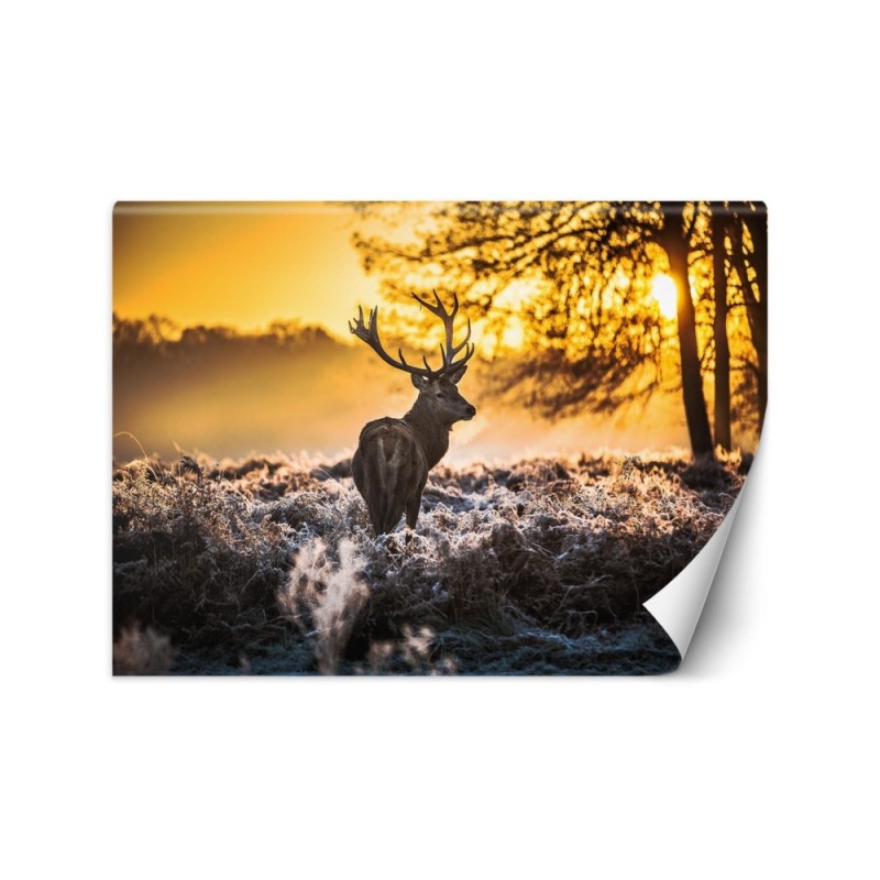 Decorative Wallpaper - Deer in the mist | FEEBY