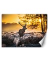 Decorative Wallpaper - Deer in the mist | FEEBY