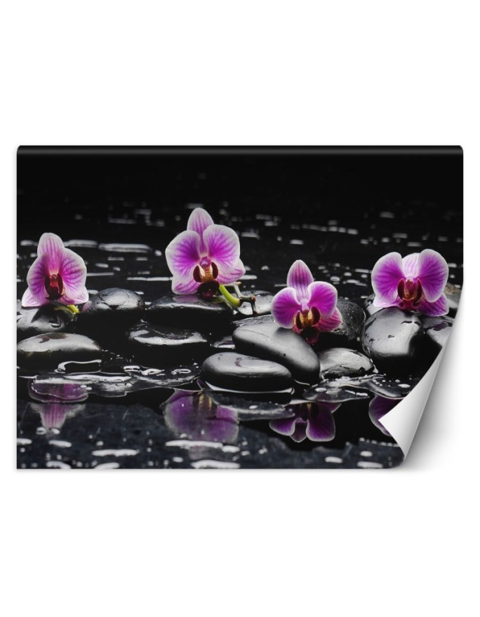 Original Wallpapers - Zen orchid stones | FEEBY