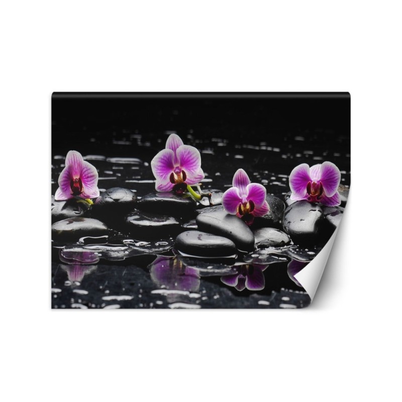 Original Wallpapers - Zen orchid stones | FEEBY
