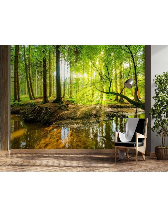 Beautiful Wallpaper - Forest stream sunshine nature | FEEBY