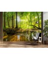 Beautiful Wallpaper - Forest stream sunshine nature | FEEBY