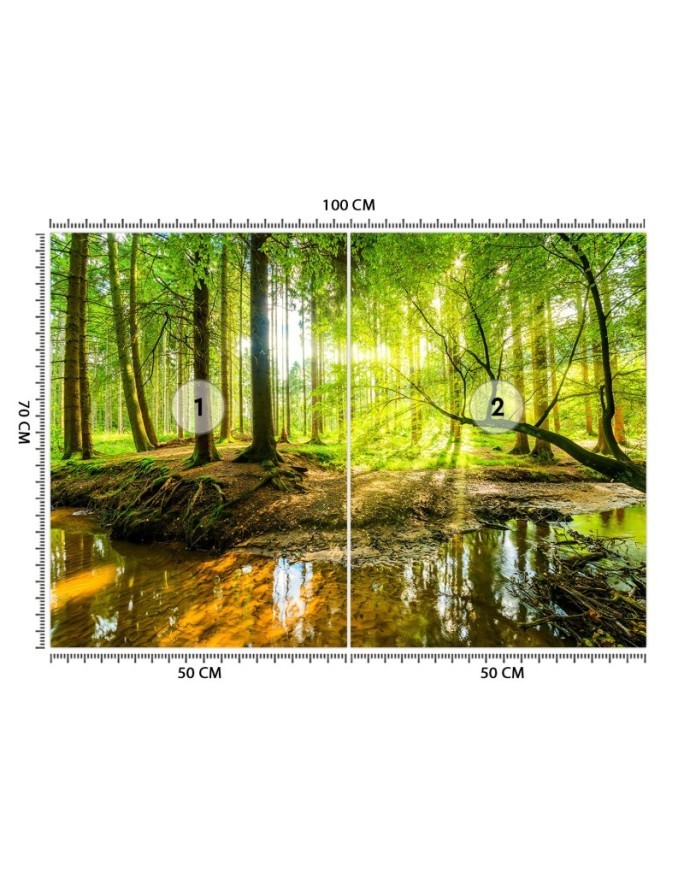 Beautiful Wallpaper - Forest stream sunshine nature | FEEBY