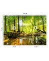 Beautiful Wallpaper - Forest stream sunshine nature | FEEBY