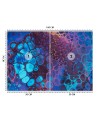Exclusive Wallpaper - Dynamic colours by Mayuko Miura | FEEBY