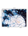 Unique Wallpapers - Ink on a white sheet Mayuko Miura | FEEBY
