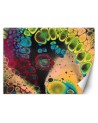 Designer Wallpapers - Colours of the rainbow Mayuko Miura | FEEBY