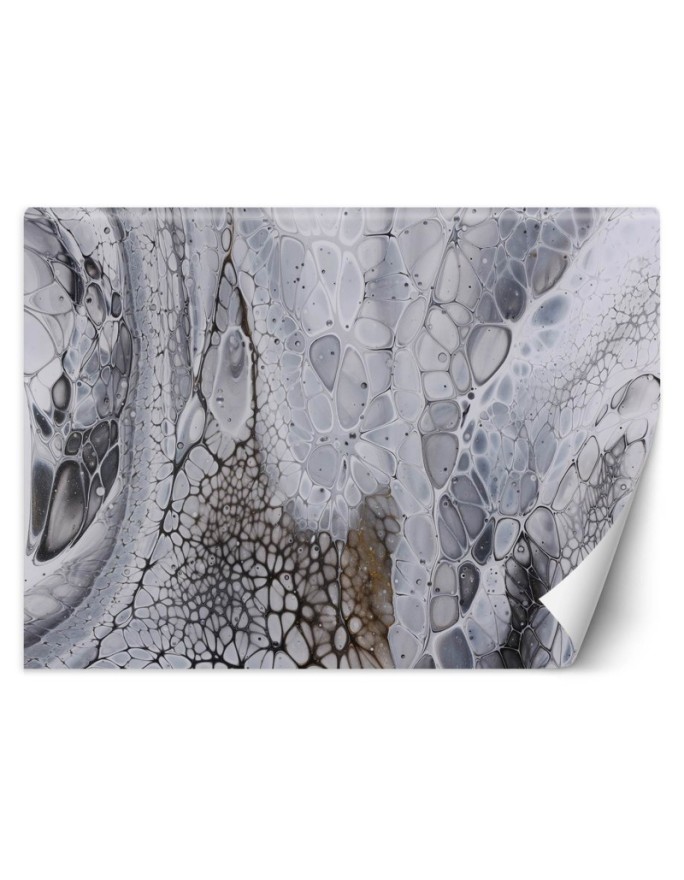 Wall mural Stones Abstract...