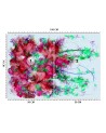 Modern wall mural - Red flowers Egle Minkuviene | FEEBY
