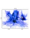 Stylish wall mural - Blue cornflowers Egle Minkuviene | FEEBY