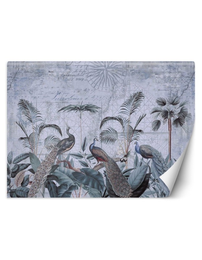 Unique wall murals - Peacocks in the tropics Andrea Haase | FEEBY