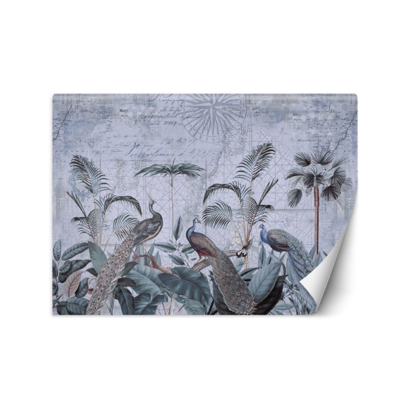 Unique wall murals - Peacocks in the tropics Andrea Haase | FEEBY