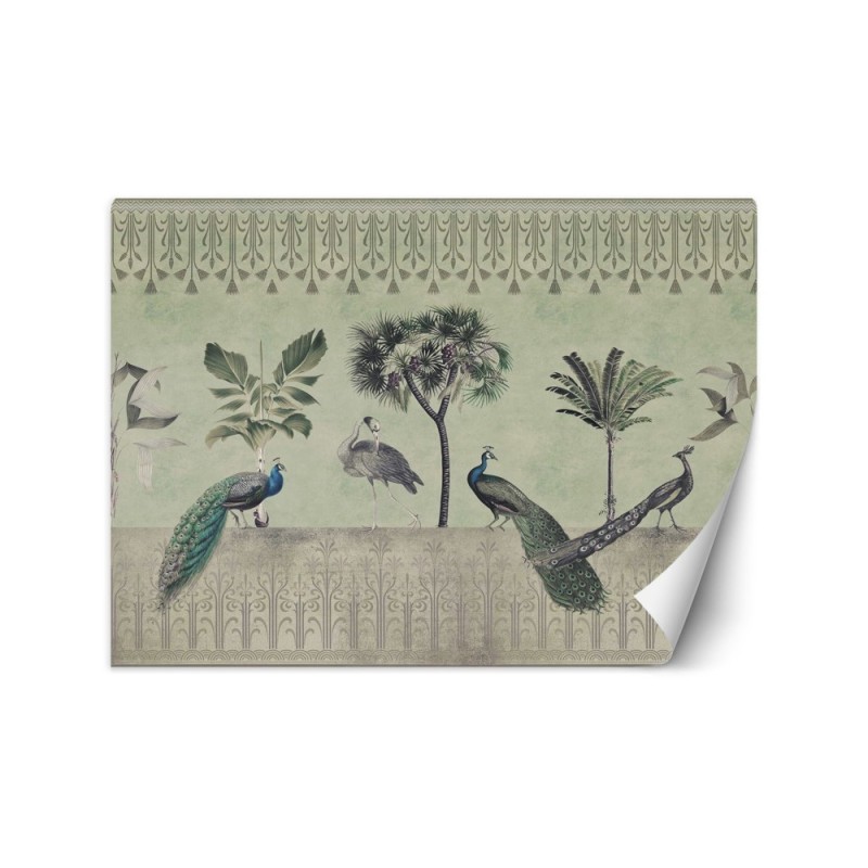 Original Wallpapers - Peacocks in the jungle green Andrea Haase | FEEBY