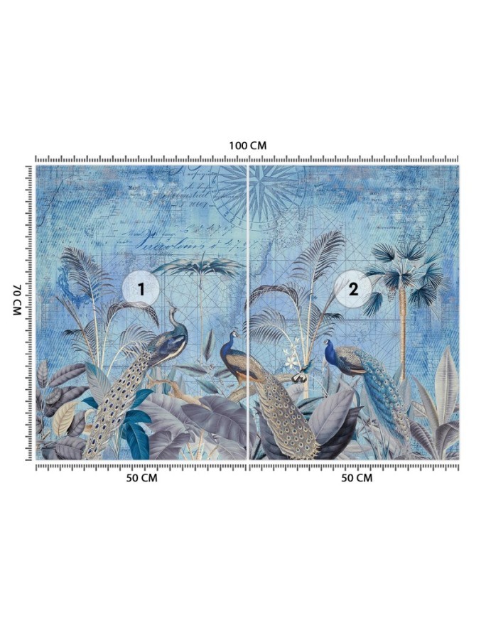 Stylish Wallpapers - Peacocks in the tropics blue Andrea Haase | FEEBY