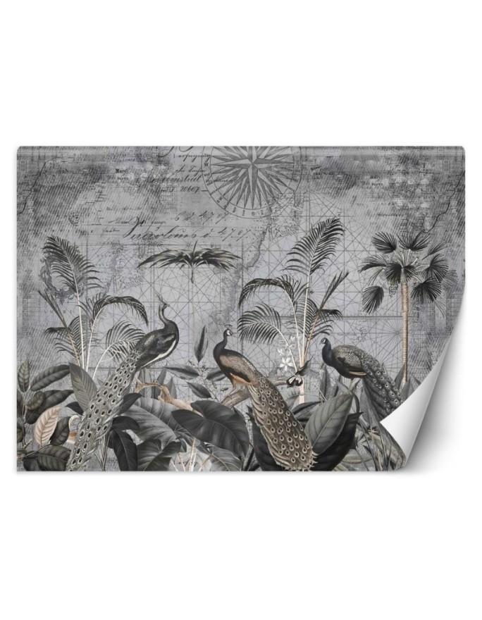 Inspirational Wallpapers - Peacocks in the tropics dark grey Andrea Haase | FEEBY