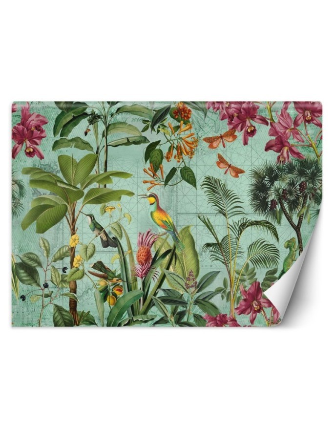 Stylish Wallpapers - Birds among tropical leaves Andrea Haase | FEEBY