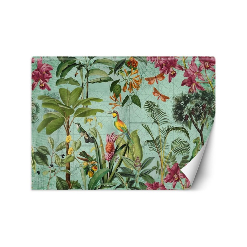 Stylish Wallpapers - Birds among tropical leaves Andrea Haase | FEEBY