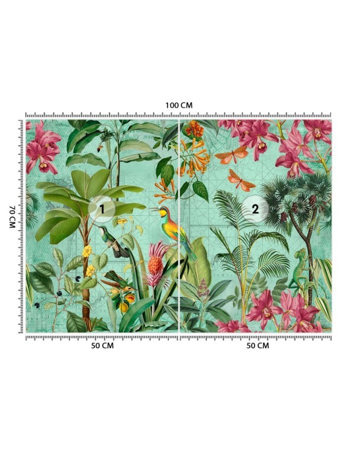 Stylish Wallpapers - Birds among tropical leaves Andrea Haase | FEEBY