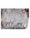 Wallpaper - Map and wild animals vintage Andrea Haase | FEEBY