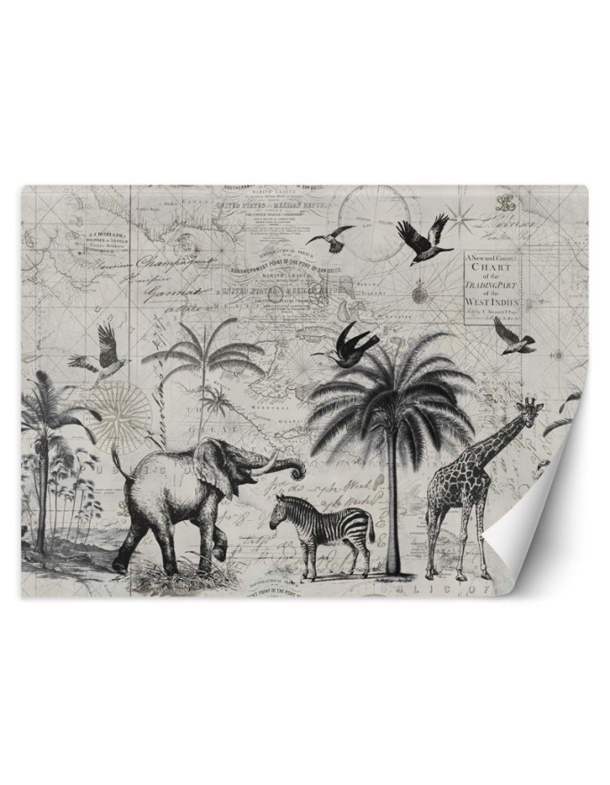 Wallpaper - Map and savannah vintage Andrea Haase | FEEBY