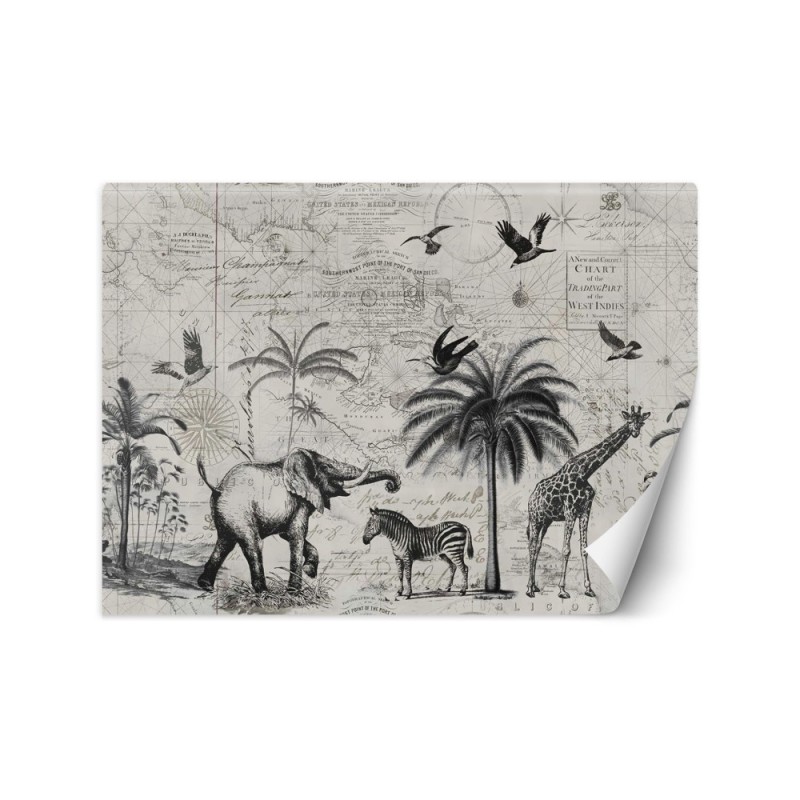 Wallpaper - Map and savannah vintage Andrea Haase | FEEBY