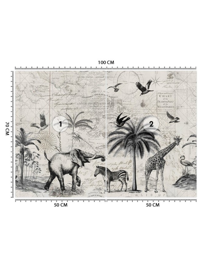 Wallpaper - Map and savannah vintage Andrea Haase | FEEBY