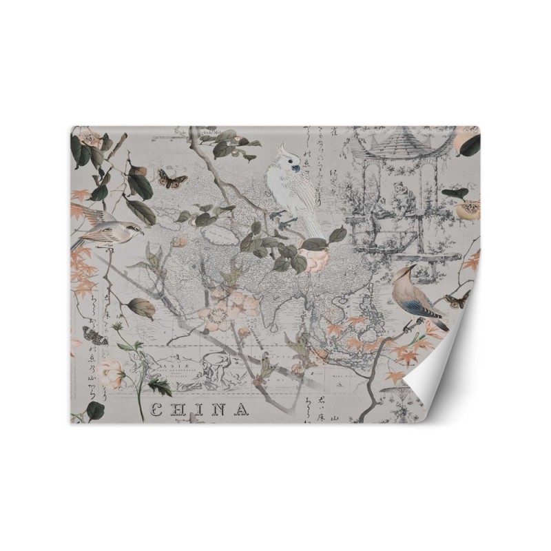 Designer Wallpaper - Vintage map and birds Andrea Haase | FEEBY