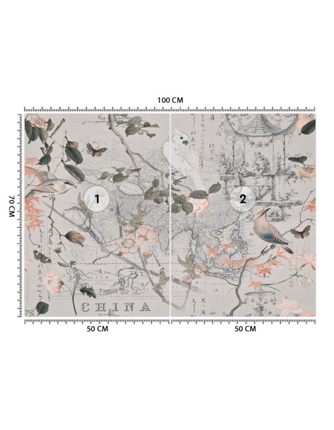 Designer Wallpaper - Vintage map and birds Andrea Haase | FEEBY