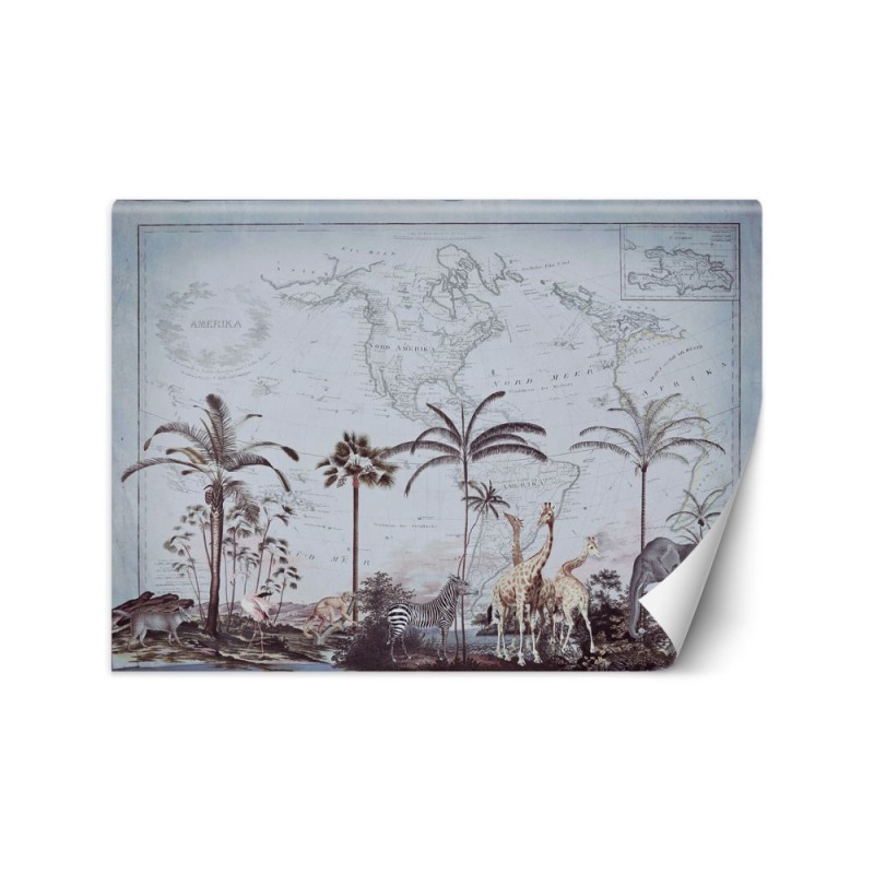 Stylish Wallpapers - Old map and savannah Andrea Haase | FEEBY
