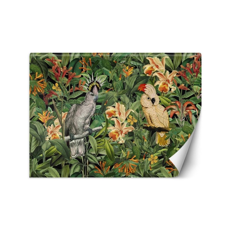 Inspirational Wallpapers - Two parrots tropical Andrea Haase | FEEBY