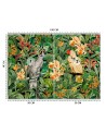 Inspirational Wallpapers - Two parrots tropical Andrea Haase | FEEBY