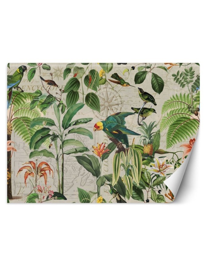 Exotic Wallpapers - Green birds in the tropics Andrea Haase | FEEBY